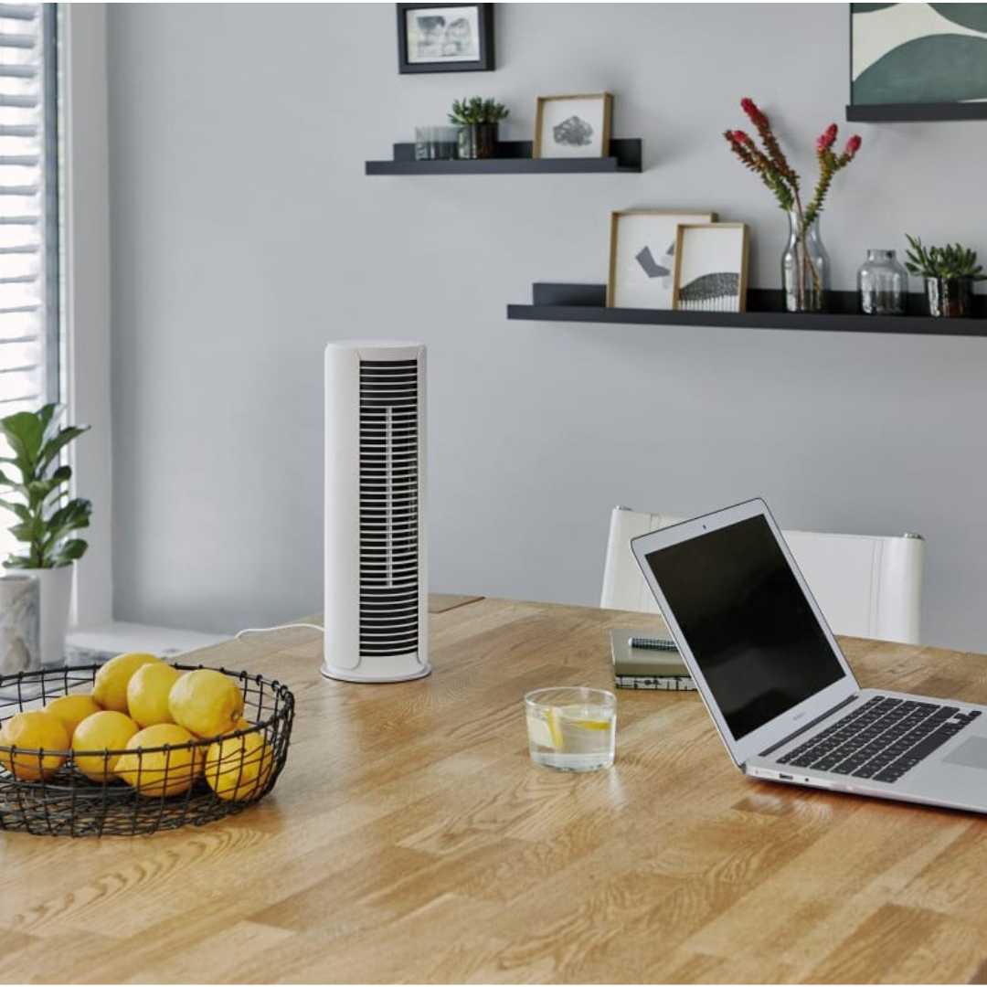 Stadler Form Peter Little Compact Fan with Washable Filter
