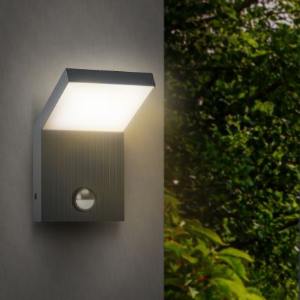 Brilagi RIANO LED Outdoor Wall Light with Motion Sensor 8W 230V Anthracite