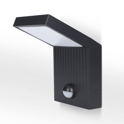 Brilagi RIANO LED Outdoor Wall Light with Motion Sensor 8W 230V Anthracite