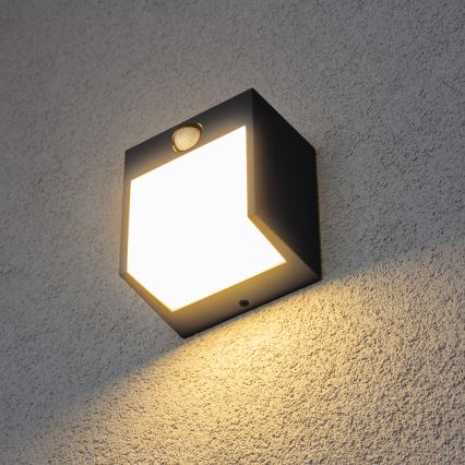 Outdoor LED Wall Light with Adjustable PIR Sensor – Brilagi 12W, IP44, Anthracite