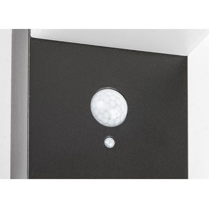 Solar Powered LED Wall Light with Motion Sensor – Rabalux 6W Black
