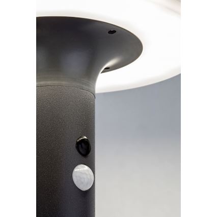 Solar Powered LED Wall Light with Motion Sensor – Rabalux 10W Anthracite