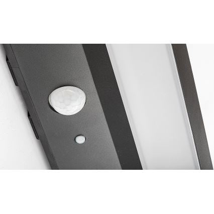 Solar Powered LED Outdoor Light with Motion Sensor – Rabalux 6W Black